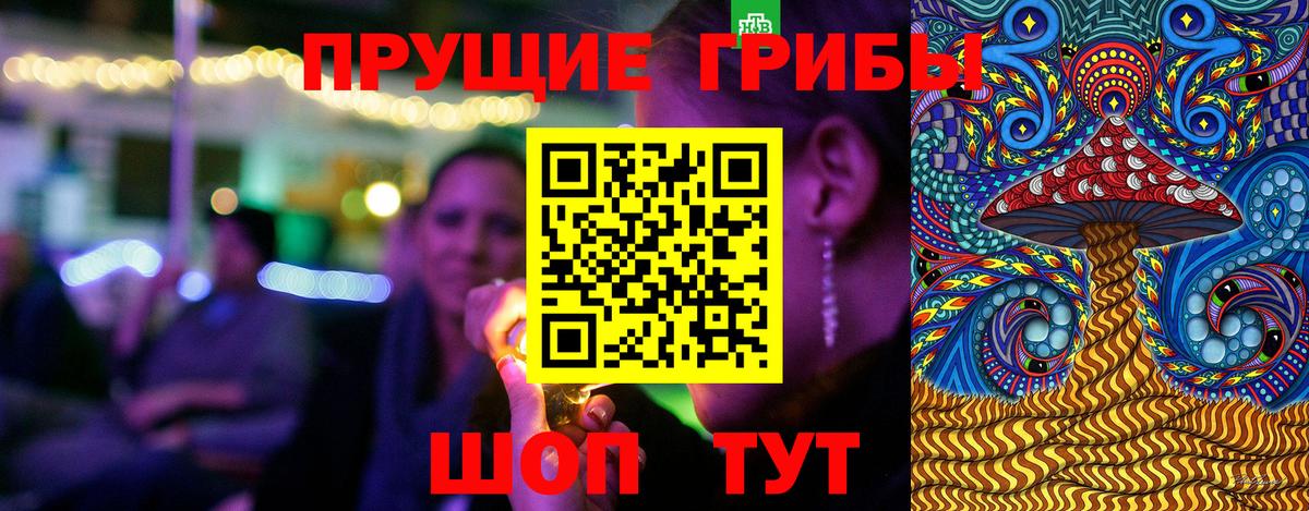 Псилоцибиновые грибы Psilocybine cubensis Звенигород