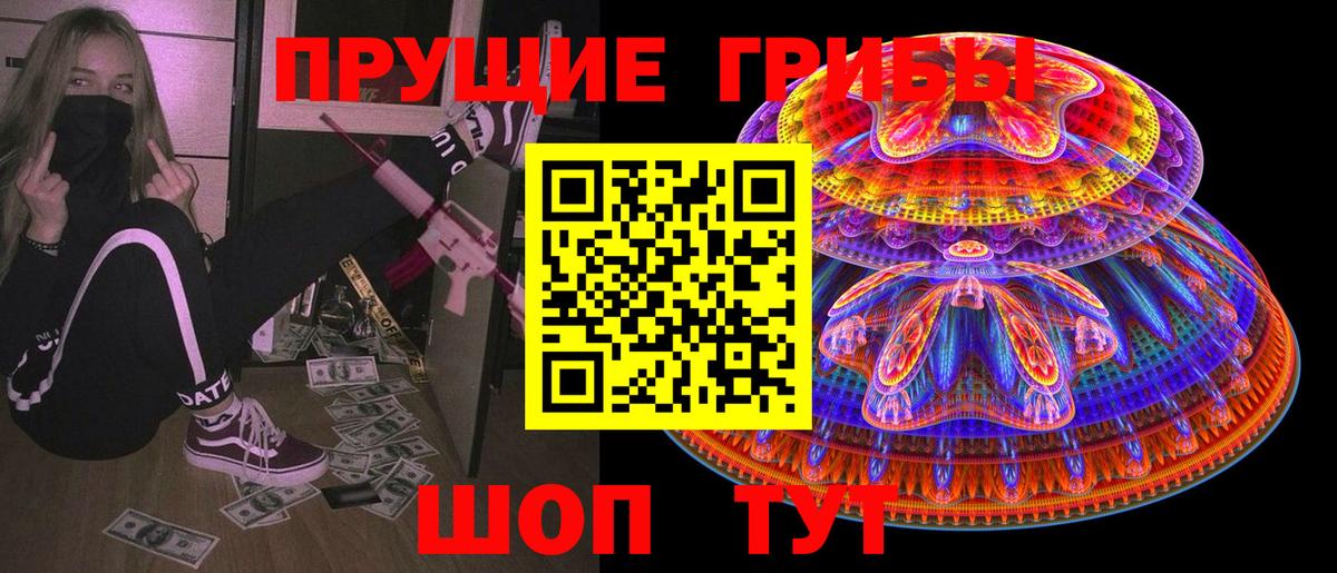 дарнет шоп  Звенигород  Псилоцибиновые грибы мицелий 