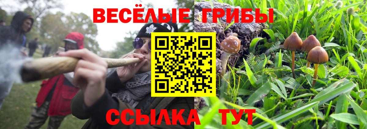 Звенигород  Псилоцибиновые грибы Magic Shrooms  Вход с VPN 
